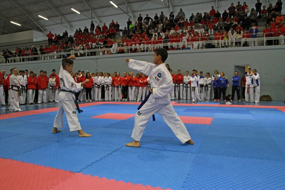III Copa Seúl (128).jpg